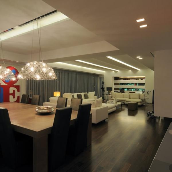 Penthouse and roof garden in Athens